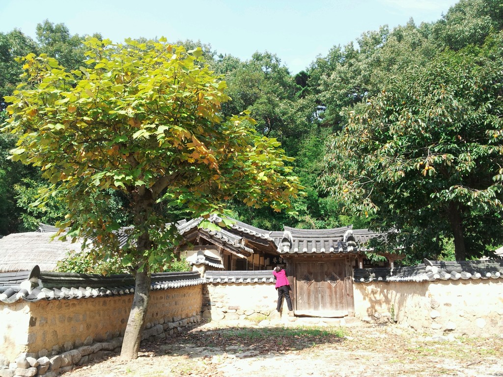 민설기 이미지