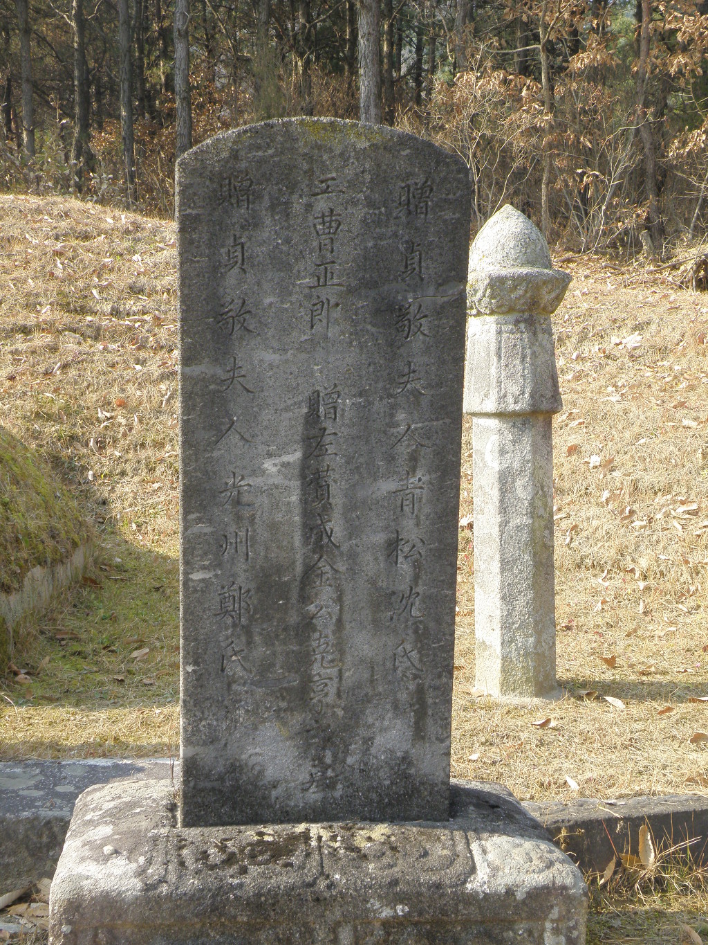 시제 이미지