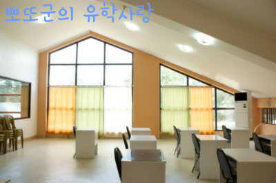씨엔케이(CNK) 이미지