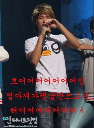 나무현 이미지