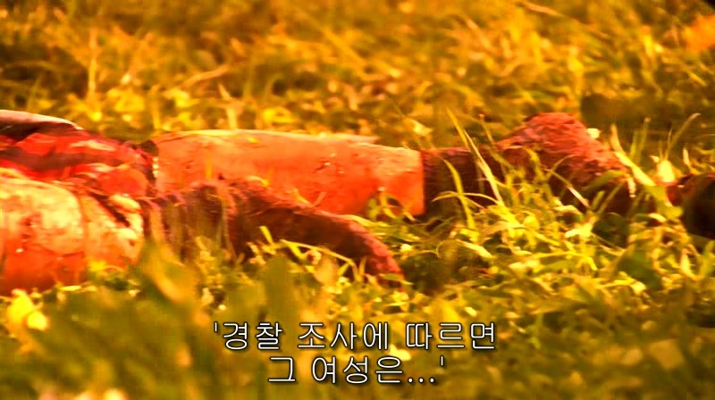 [영화] 혐오스런 마츠코의 일생 -01- | 인스티즈