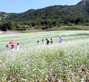 지피컴 이미지