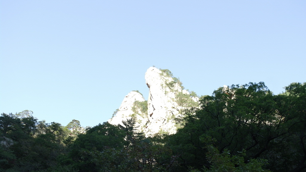 (주)대청 이미지