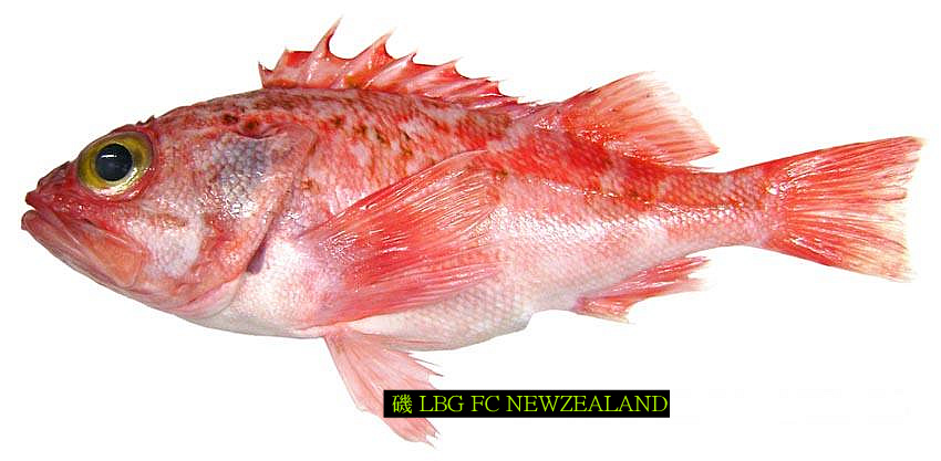 1202E1494D4EA195151B3D