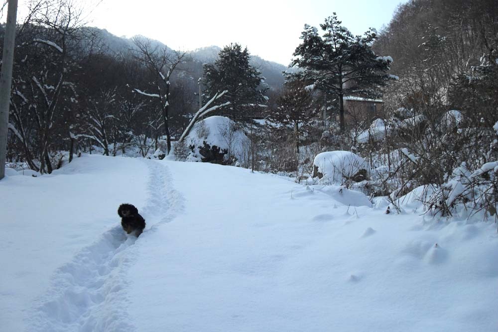 발교산산장 이미지