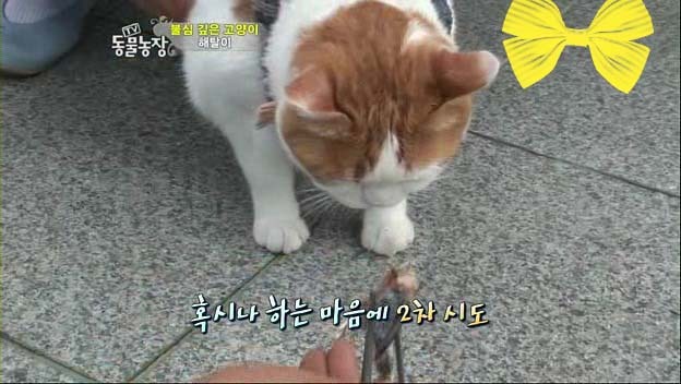상귀농장 이미지