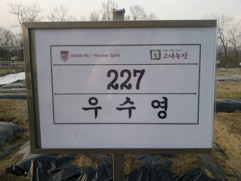 고려대학교 덕소농장 이미지
