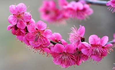 중방 이미지