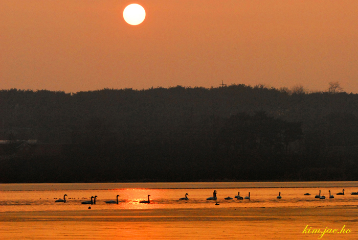 어린왕자의들꽃사랑마을