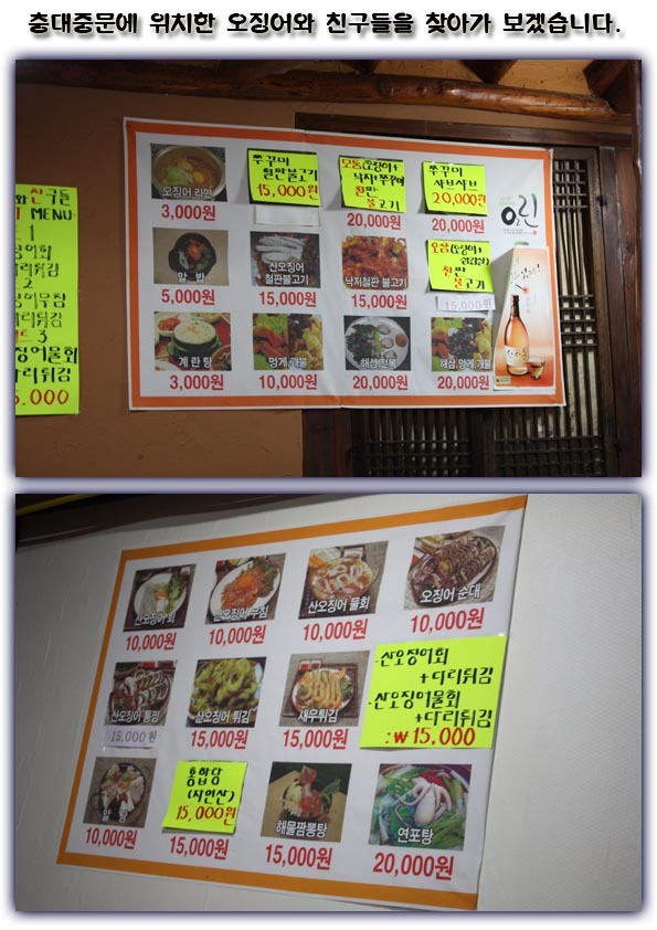 오징어와친구들 이미지