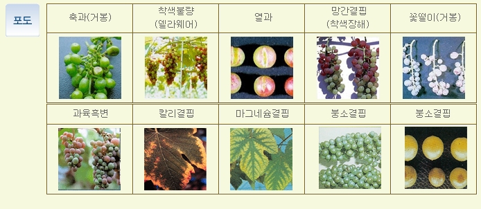 (주)한국그린환경 이미지