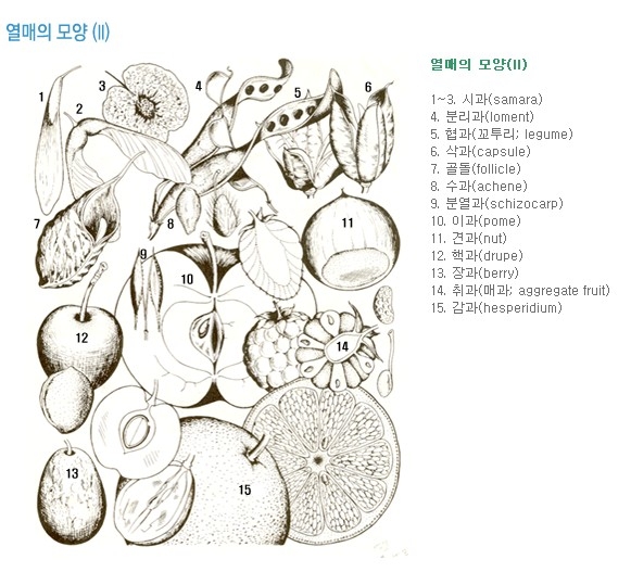 도해 이미지