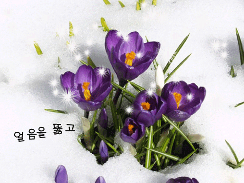 케이아이엠 이미지