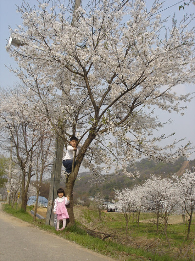 선유동 이미지