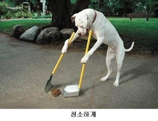 미소 이미지