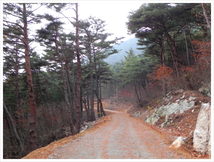 칠보산자연휴양림 이미지