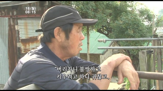 고양이 구박하는 훈할머니.JPG | 인스티즈