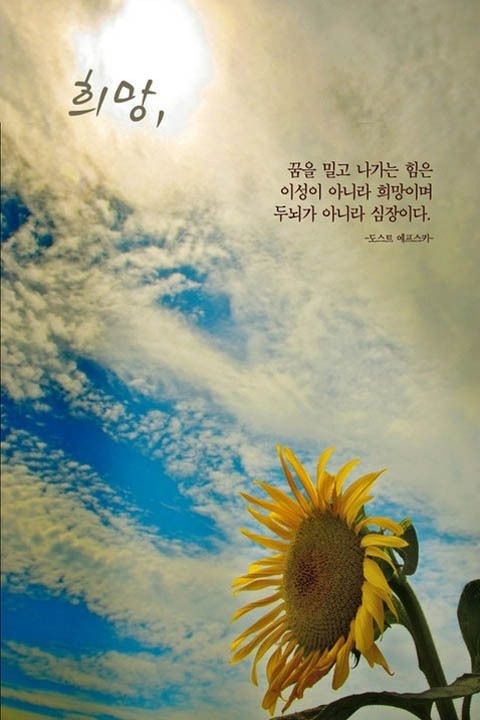 자연히 이미지