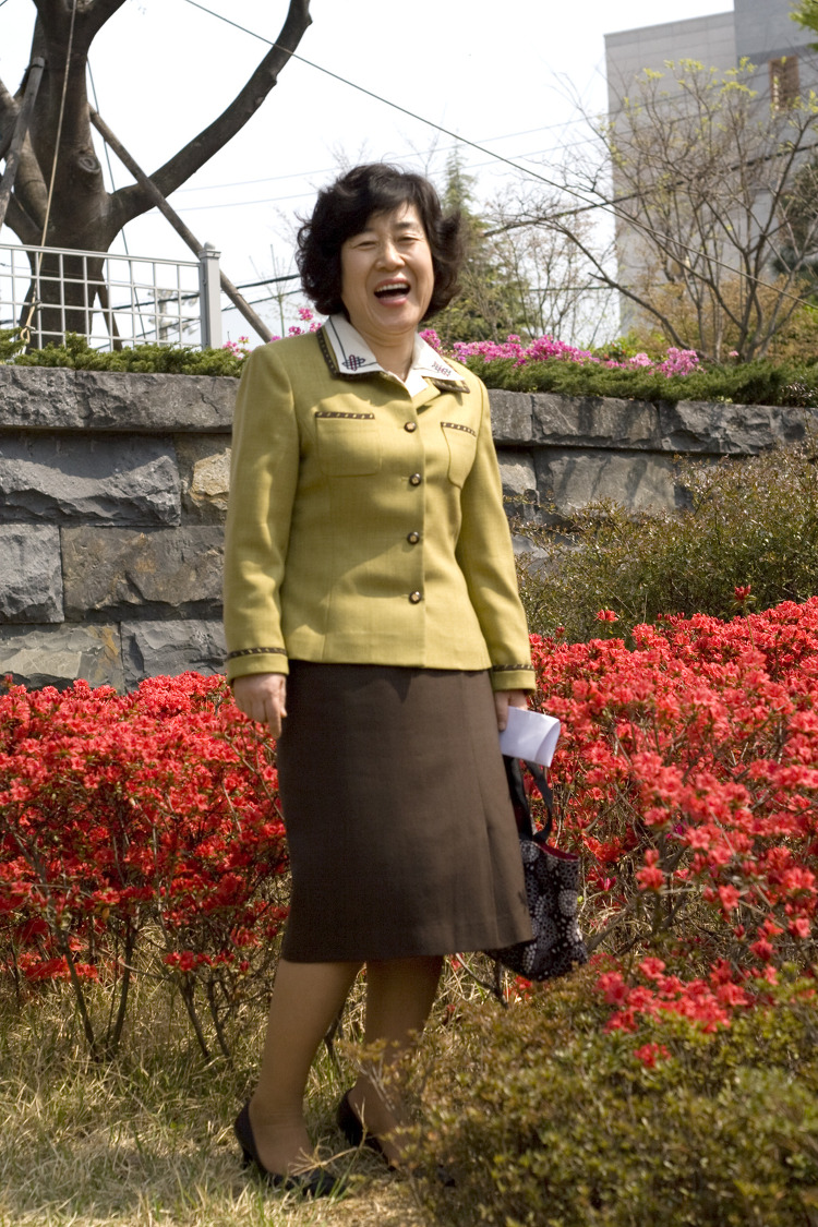 선몰 이미지