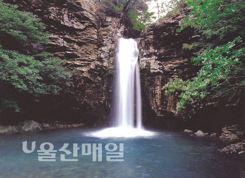 유림주유소 이미지