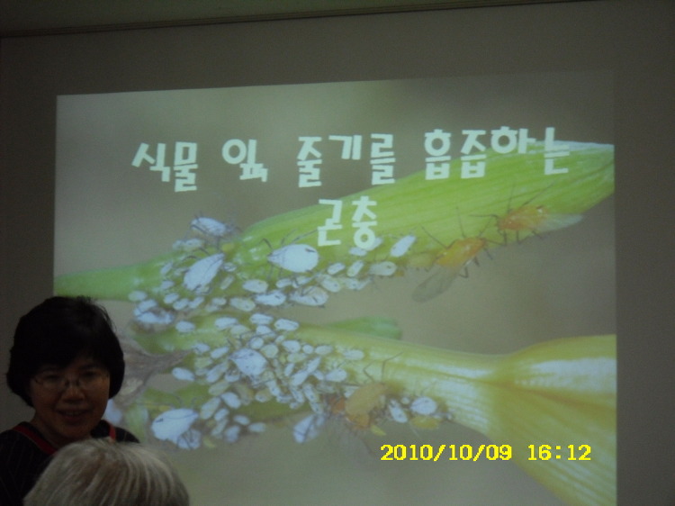 고은잠자리 이미지