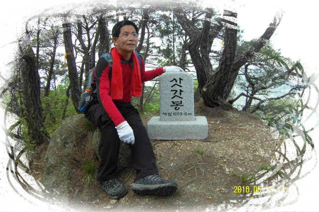 정상 정자 이미지