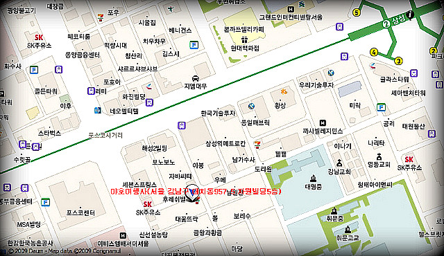 지선여행사 이미지