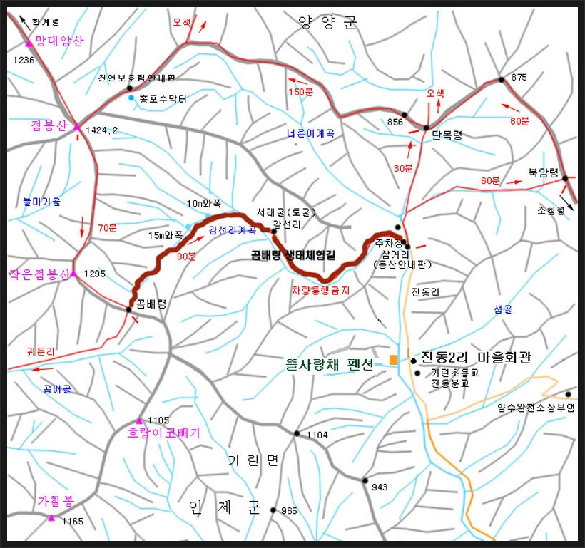 강원화원 이미지
