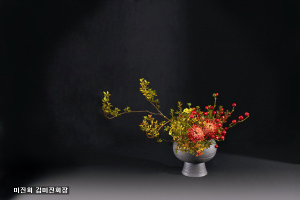현대꽃 이미지