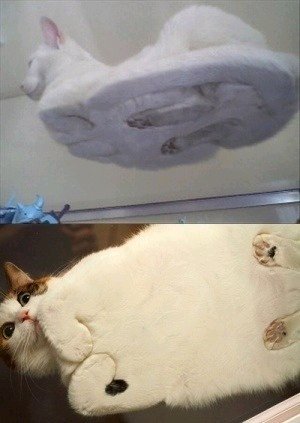 굽기 이미지