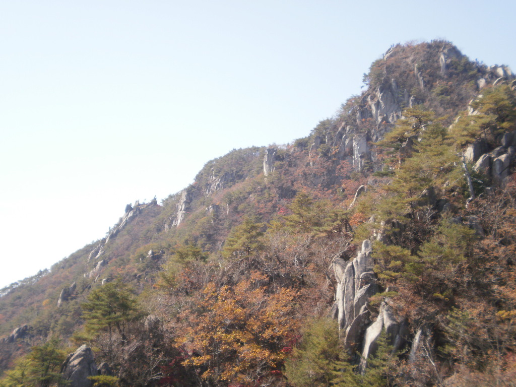 남산 이미지