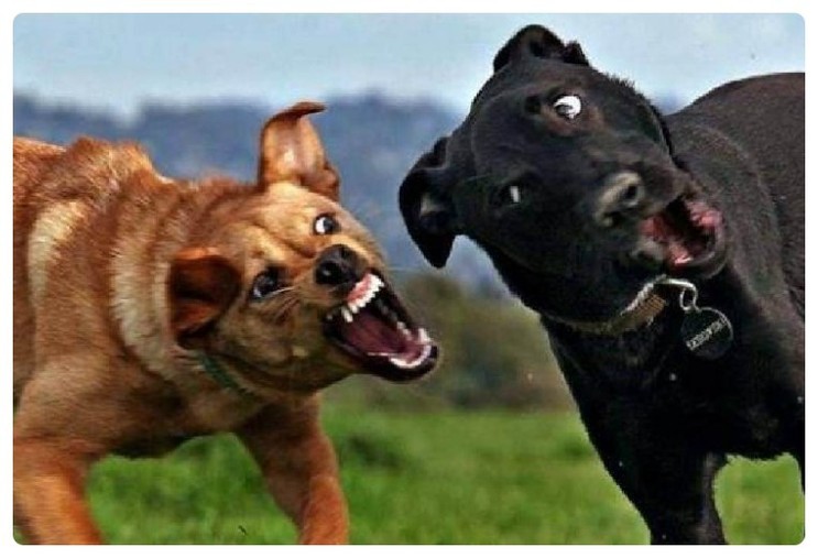 가족오락관 이미지