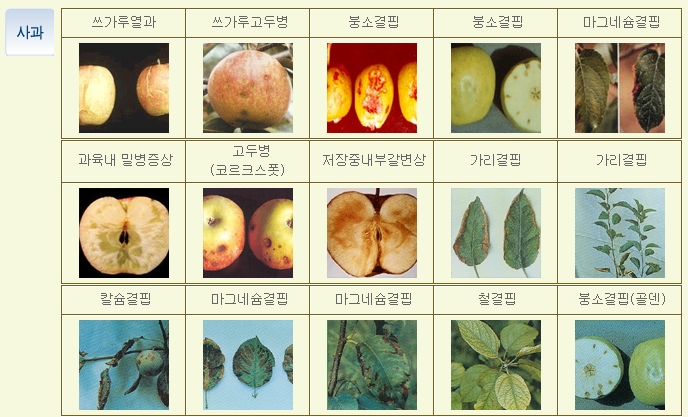 그린비료 이미지