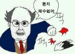 콩콩 이미지
