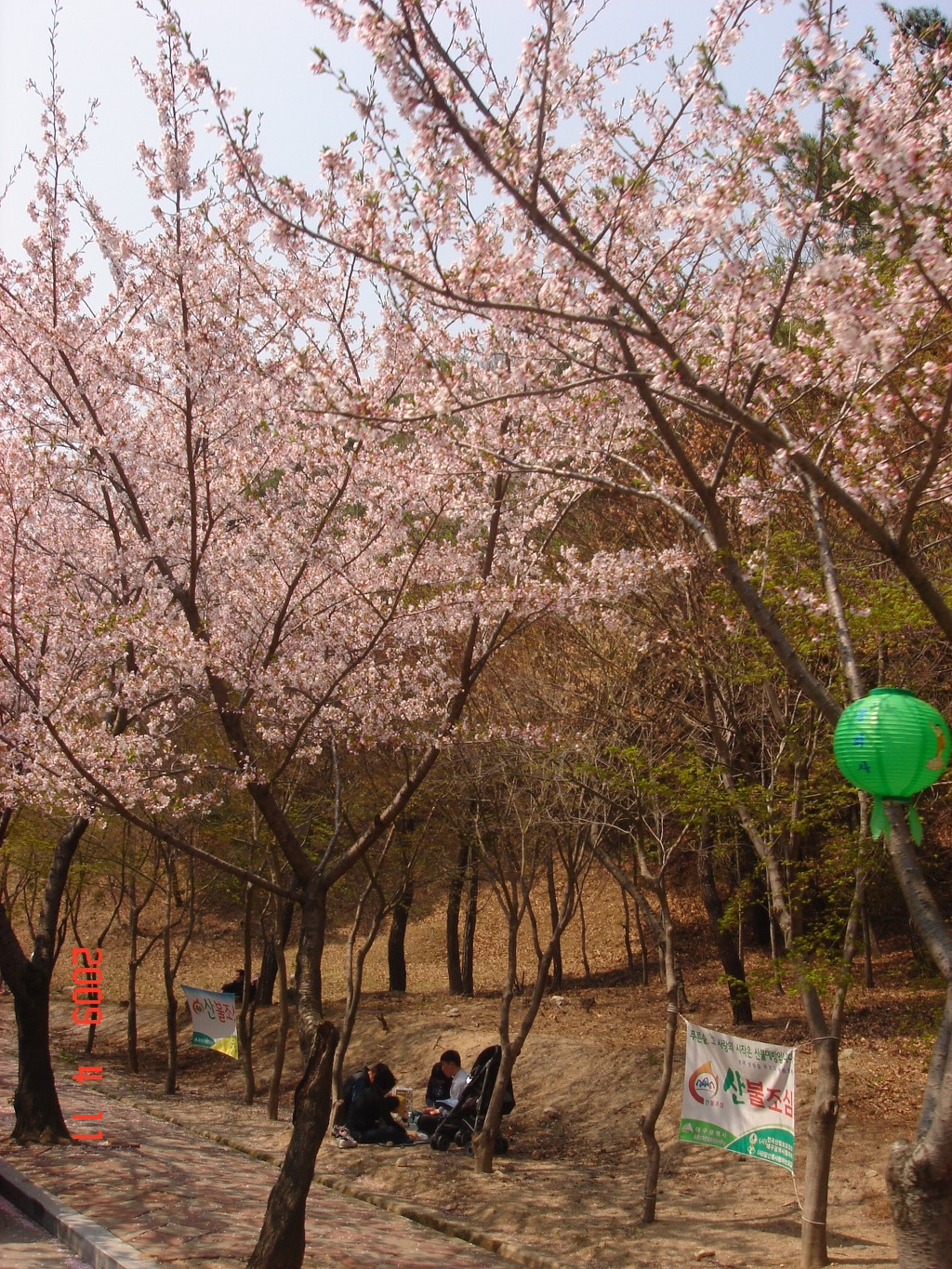 순자네 이미지