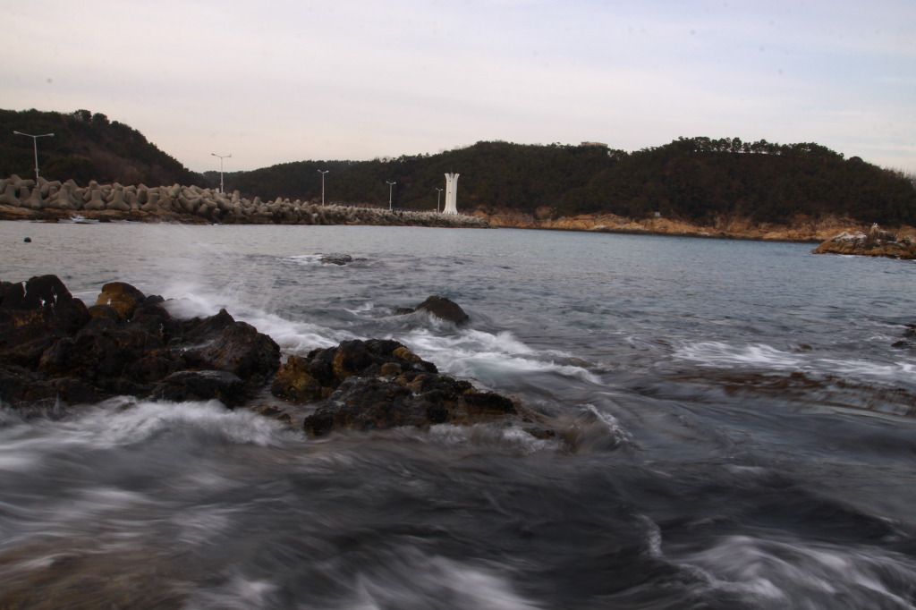 요땡 이미지