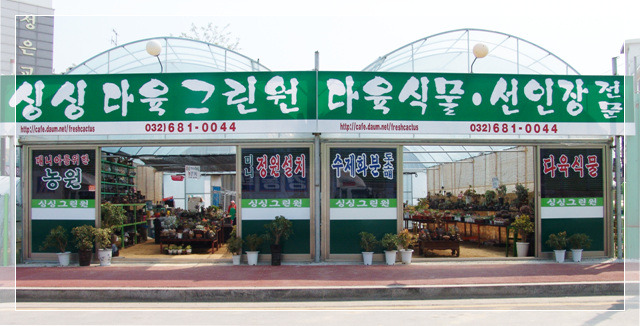 싱싱다육그린원 이미지
