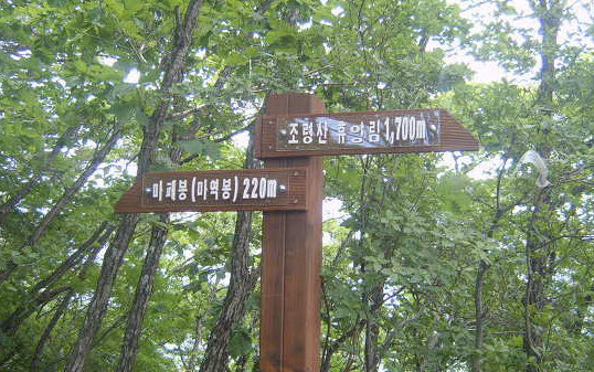 이정표 이미지