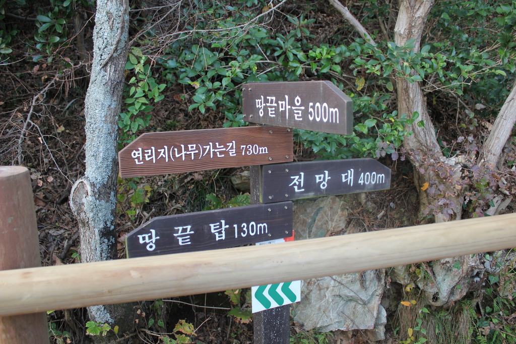 땅끝마을홍어 이미지
