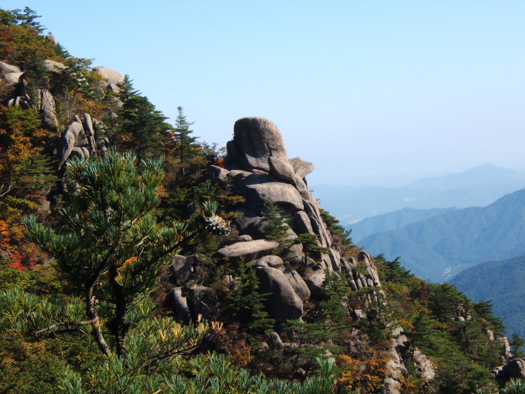 지금가야산 이미지