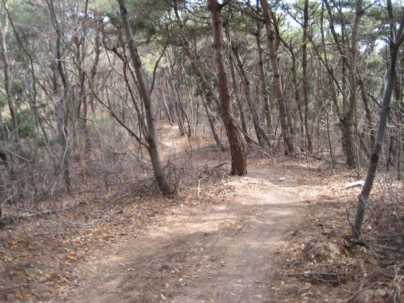 창원MTB 이미지