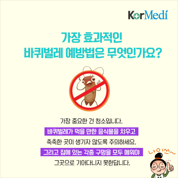 해충에 대한 오해와 진실(feat.바퀴)_약혐주의 | 인스티즈