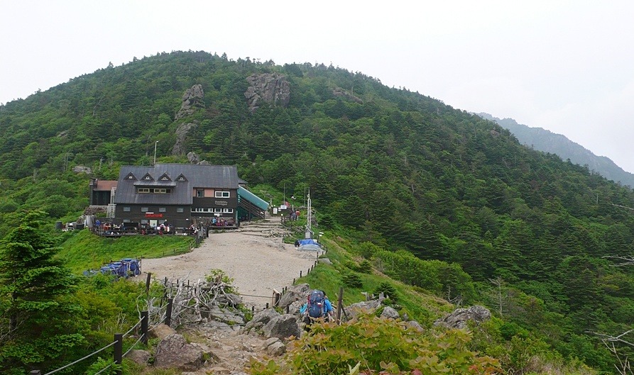 참벗 이미지