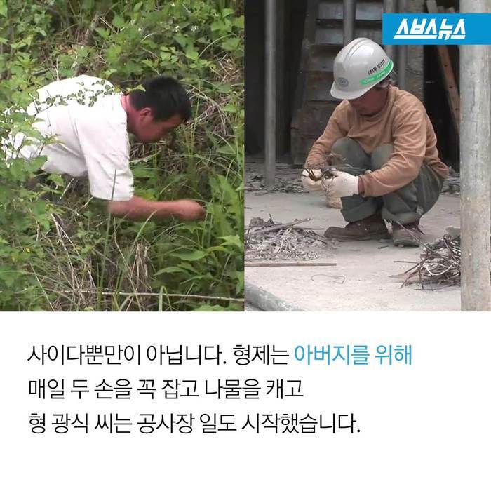  이것은 사이다가 아닙니다 | 인스티즈