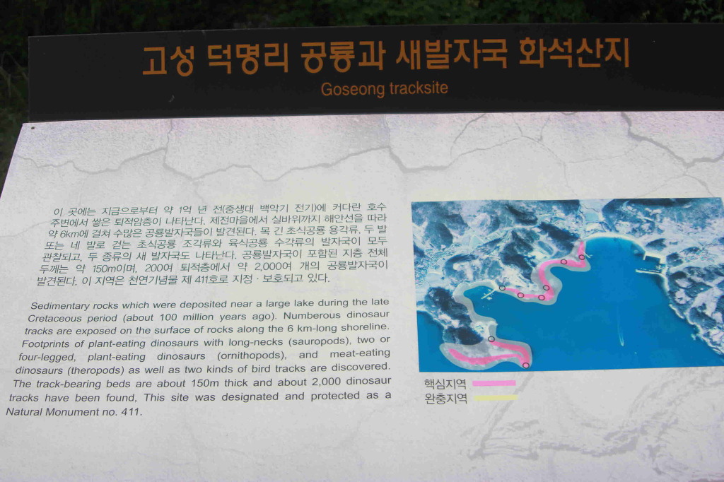 숲길 전경 이미지