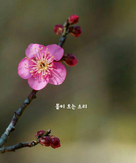 만남 이미지