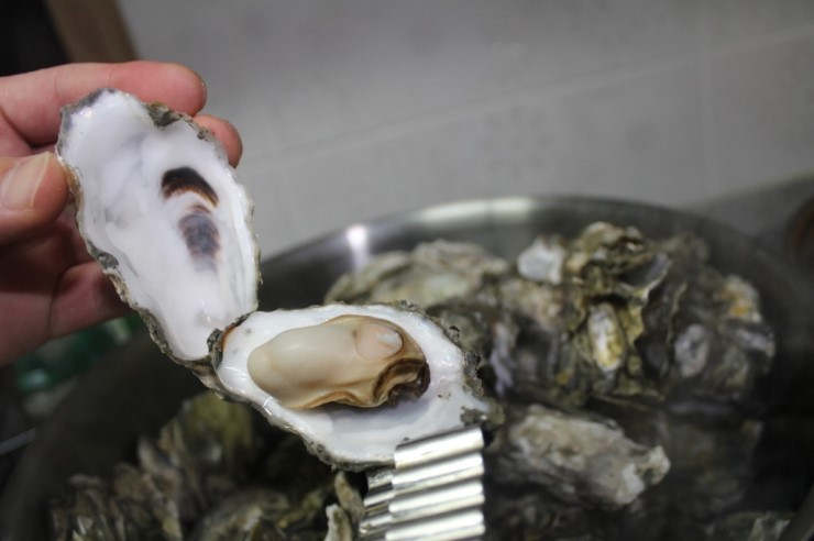 석화 이미지