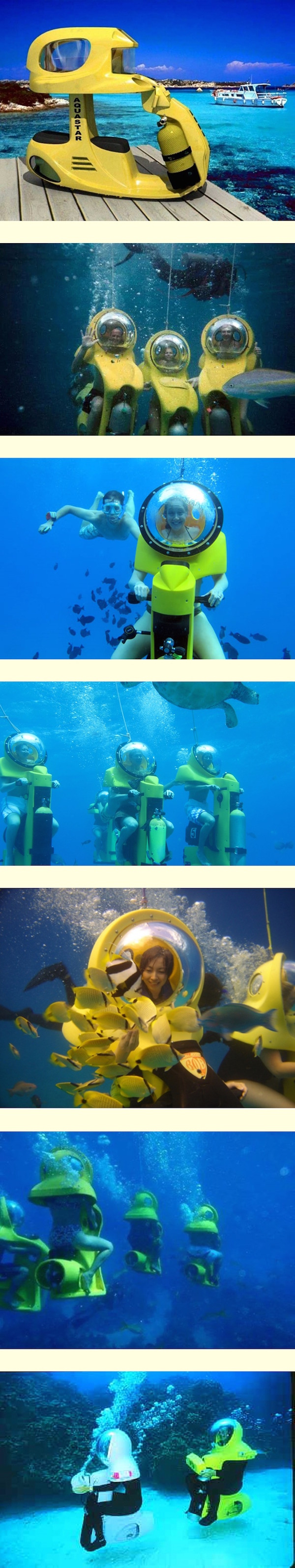 하와이에서 탈 수 있는 스쿠터 | 인스티즈