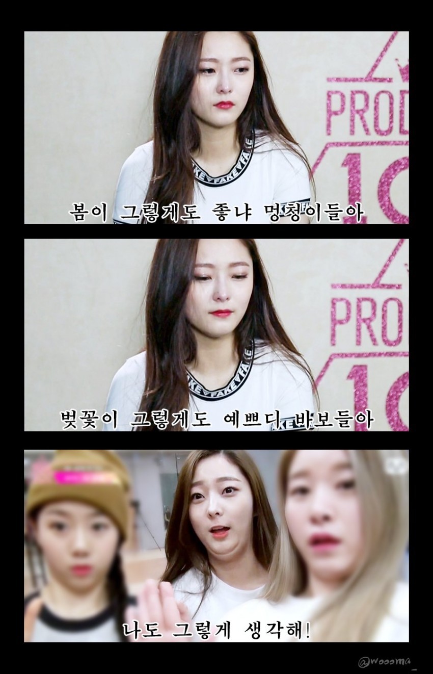 플레디스의 봄이좋냐? (프로듀스101) | 인스티즈