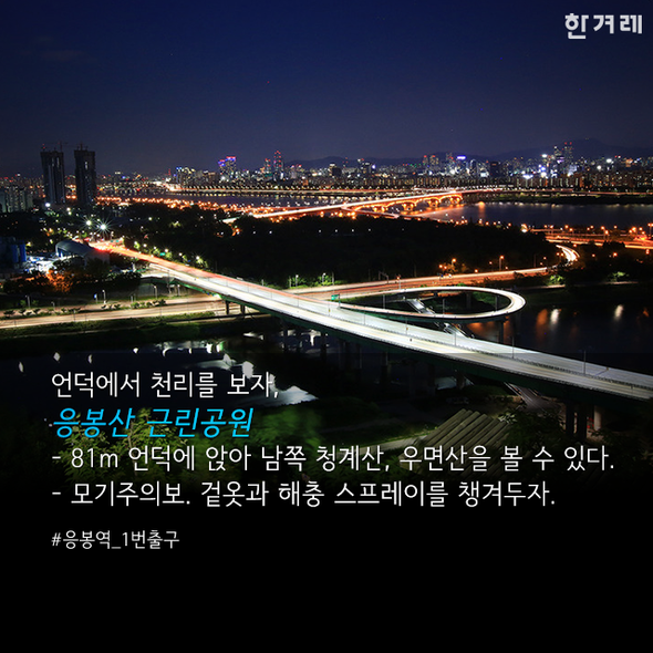 서울 밤길 어디까지 걸어봤니? | 인스티즈